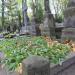 The tomb of Marya Ugniewska in Warsaw city