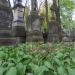 The tomb of Marya Ugniewska in Warsaw city