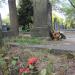 The tomb of Eugeniusz Funk in Warsaw city