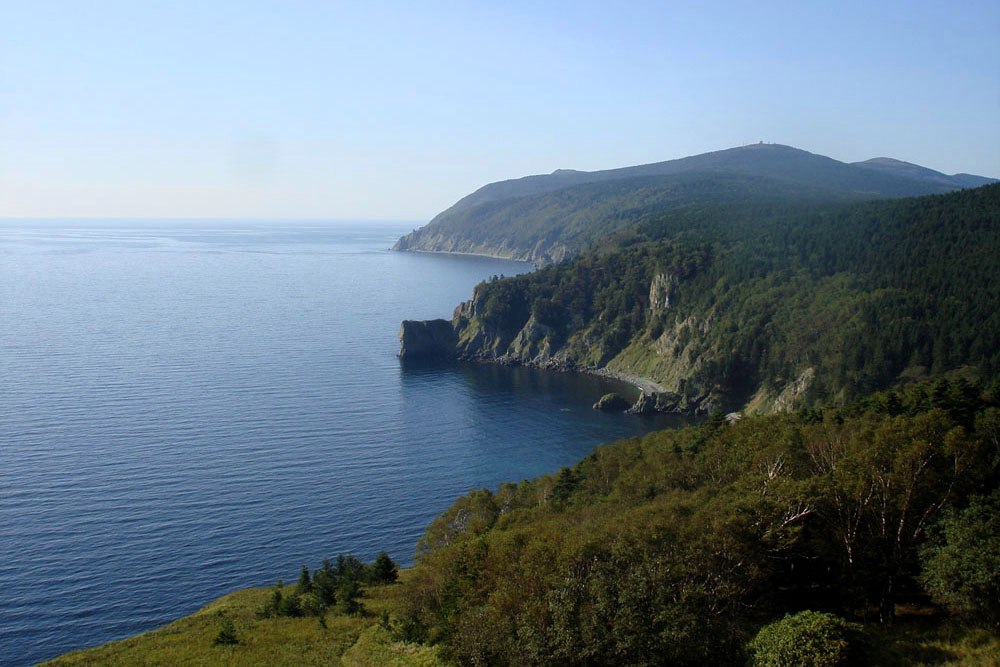 Смотровая площадка