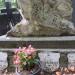 The tomb of Józefa Trzeciakowa in Warsaw city