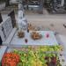 The tomb of Cezary Balicki in Warsaw city