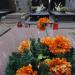 The tomb of Andrzej Pęcko in Warsaw city