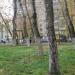 Детская игровая площадка в городе Москва