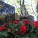 The tomb of Marja Morawska in Warsaw city