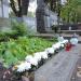 The tomb of Anna Tarnowska in Warsaw city