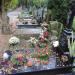 The tomb of Eugeniusz Lokajski in Warsaw city