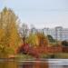 Средний Фермский (Фермерский) пруд в городе Москва