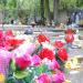The tomb of Przybylski family in Warsaw city