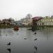 Домик для уток в городе Сергиев Посад