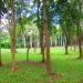 University of the Philippines Los Baños - Upper Campus and Makiling Forest Reserves