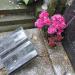 The tomb of Filipina Ostrowska in Warsaw city