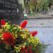 Quarter 136 in Warsaw city