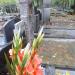 The grave of Zofia Makowiecka in Warsaw city