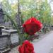 The tomb of Czartoryski family in Warsaw city