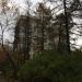 ул. Юных Ленинцев, 68 корпус 1 в городе Москва