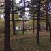 Одиннадцатая ул., 7 в городе Владивосток