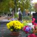 Old Cemetary in Kielce in Kielce city