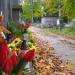 Old Cemetary in Kielce in Kielce city