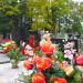 Old Cemetary in Kielce in Kielce city