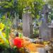 Old Cemetary in Kielce in Kielce city