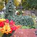 Old Cemetary in Kielce in Kielce city