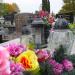 New Cemetery in Kielce in Kielce city