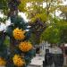 New Cemetery in Kielce