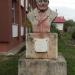 Bust în Targu Neamt oraş