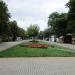 Газон в городе Ейск
