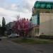 Аптека 03 в городе Кропоткин