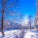 ул. Мира, 9 в городе Кириши