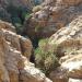 Wadi Manshala mittleres Tal: 1. Wasserfall 25 m