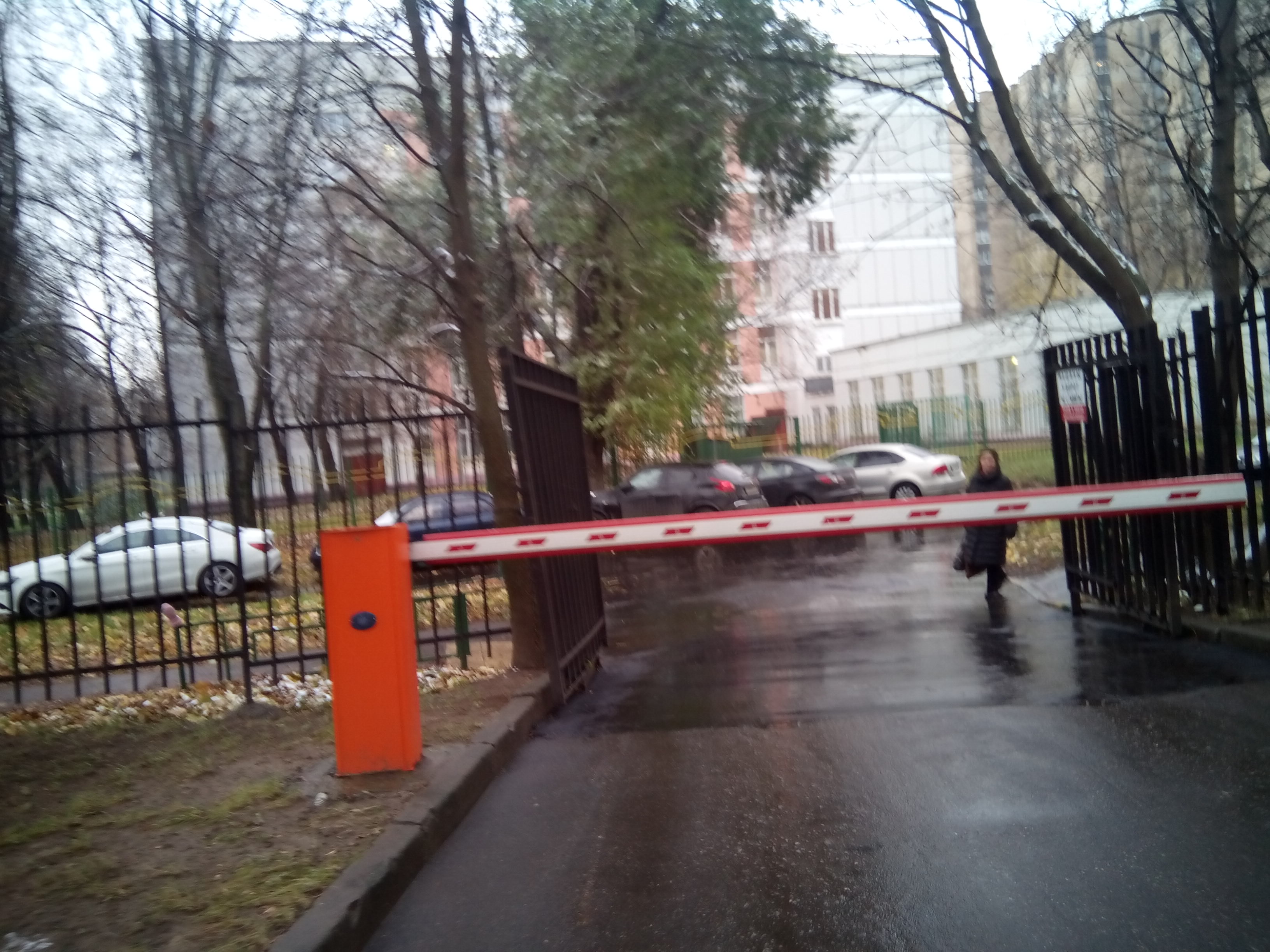 Школа 515
