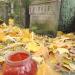 Grave of soldiers killed in Lviv in Warsaw city