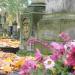 The grave of Władysława Dybowska in Warsaw city