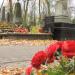 The grave of Eugeniusz Kopeć in Warsaw city