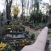 The grave of Helena Wachtel in Warsaw city