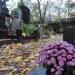 The grave of Helena Wachtel in Warsaw city