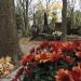 The tomb of Józefa Bujalska in Warsaw city