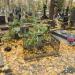 The crooked Tomb in Warsaw city