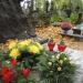 The crooked Tomb in Warsaw city