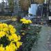 The tomb of Ania Lik in Warsaw city