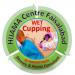 HIJAMA (cupping) CLINIC Faisalabad in Faisalabad/Lyallpur city