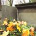 The tomb of Zaleski family in Warsaw city