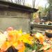 The tomb of Zaleski family in Warsaw city