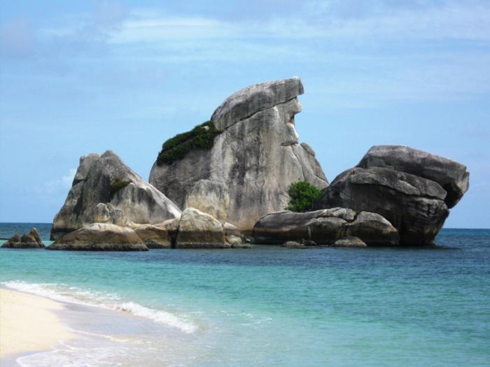 Pulau Tapok (English)
