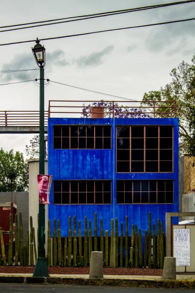 Стоковые фотографии по запросу Frida kahlo museum