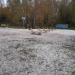 Благоустроенный пляж в городе Москва