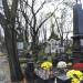 The tomb of  Magdalena Baum in Warsaw city